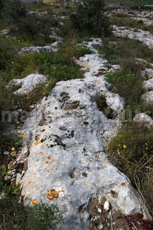 Triq il-Fort. tal-Mosta 1