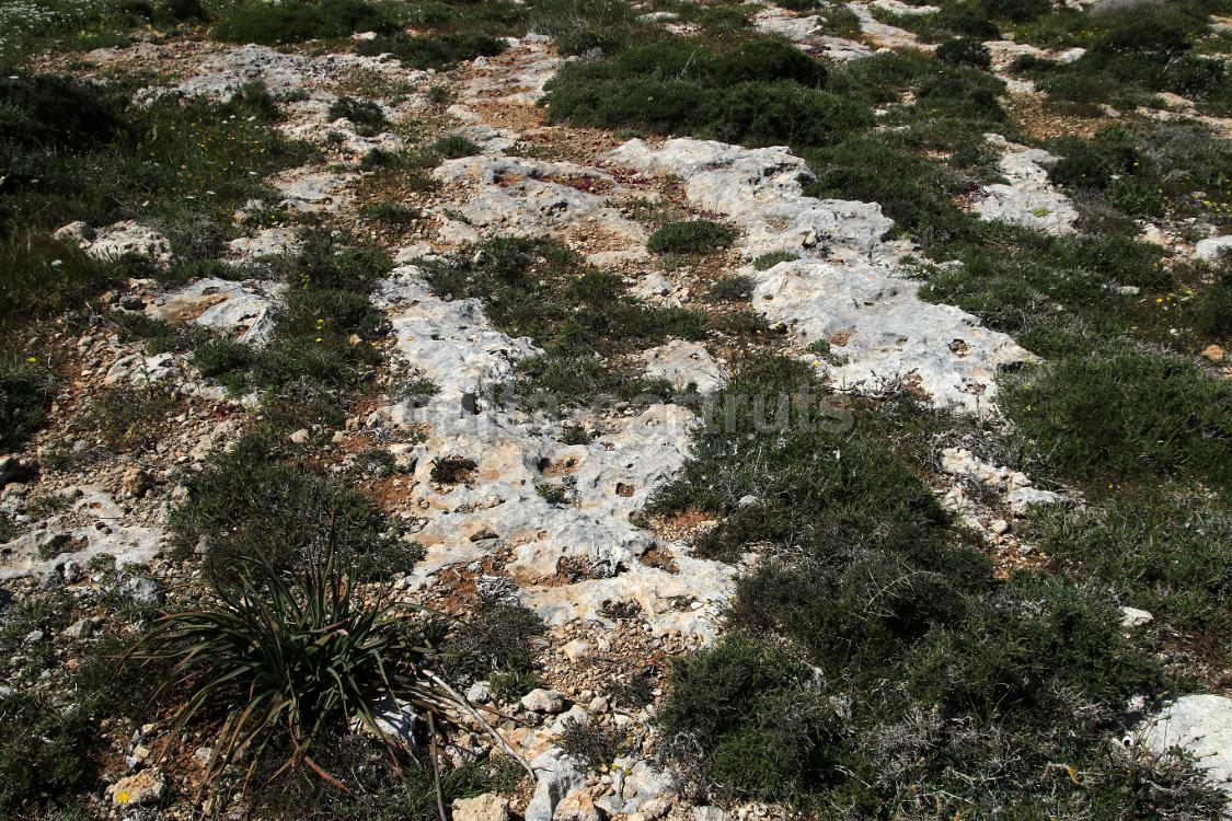 Bahrija north-west 2a