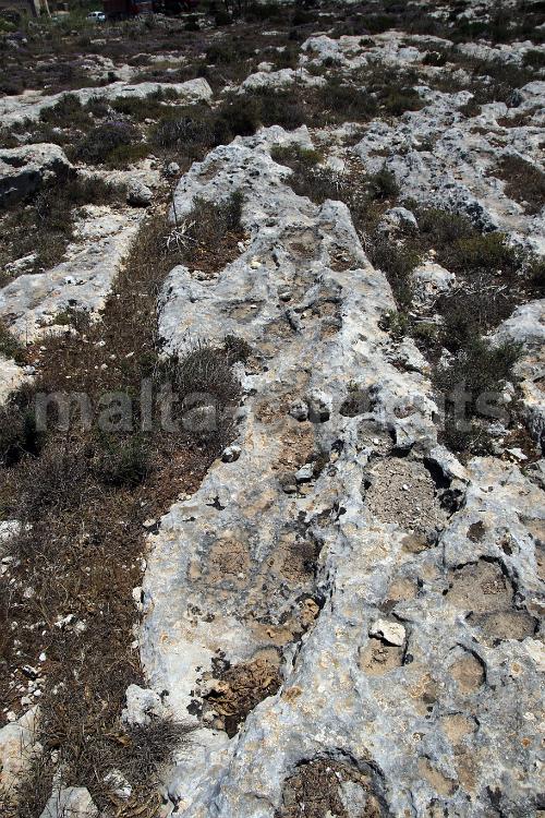 Qallilija 1m