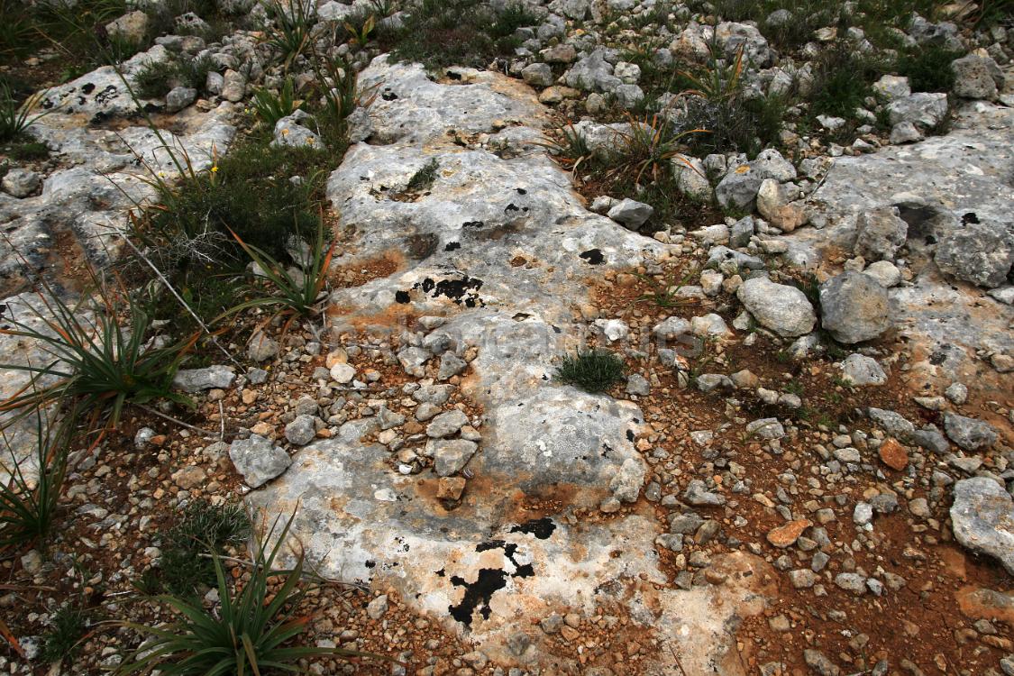 Qallilija 4b bw - 01
