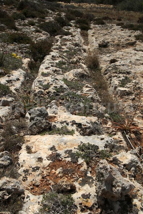 Tan-Nadur 2