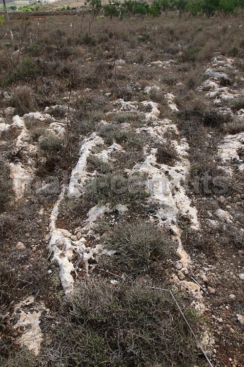 Tan-Nadur 4b