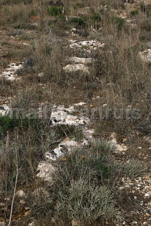 Tan-Nadur 6a - 02