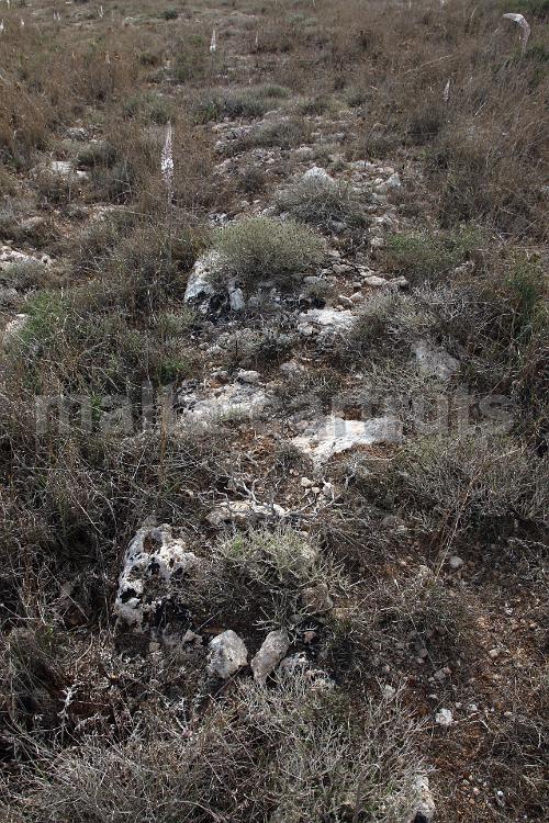 Tan-Nadur 9
