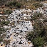 Tan-Nadur 1