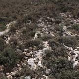 Tan-Nadur 2
