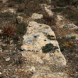 Tan-Nadur 11