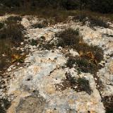 Tan-Nadur 12