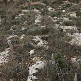 Tan-Nadur 4a
