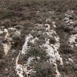 Tan-Nadur 4b