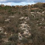 Tan-Nadur 5b