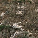 Tan-Nadur 6a