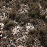 Tan-Nadur 6b