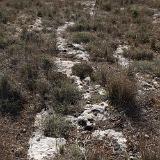 Tan-Nadur 7