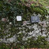 Siebenkreuzleweg